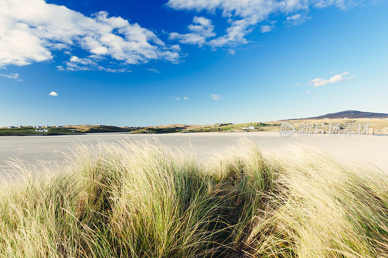 Marram Grass, Sand, Sky, Lewis and Harris，苏格兰